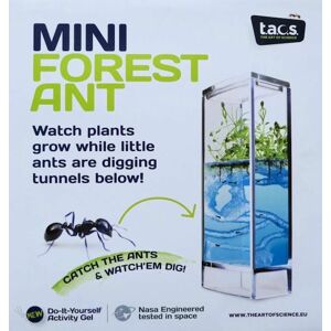 Forest Ant Mini Antquarium - Mravenčí mini akvárium