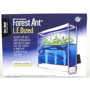Forest Ant LEDized Antquarium - Mravenčí akvárium s LED osvětlením