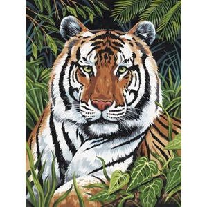 SMT Malování Royal 22x30cm Tygr v trávě