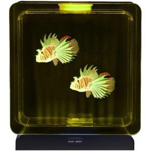 Playlearn Fish Tank Square - 2 Tropical Fish